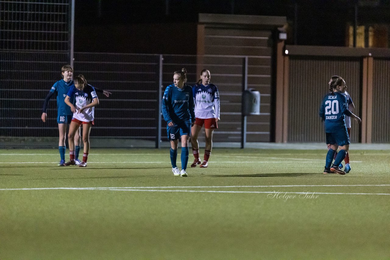 Bild 370 - F SC Alstertal-Langenhorn - Hamburger SV 3 : Ergebnis: 2:2